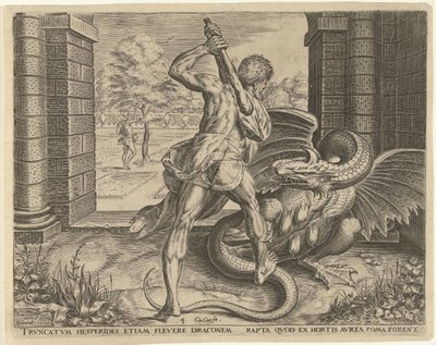 Herkül, Hesperides