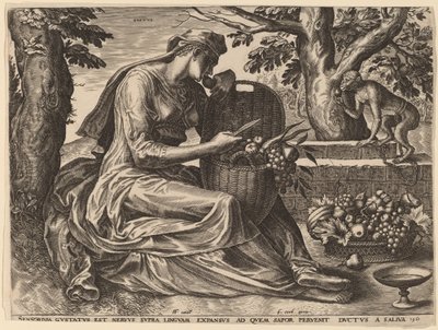 Damak zevki by Cornelis Cort after Frans Floris I