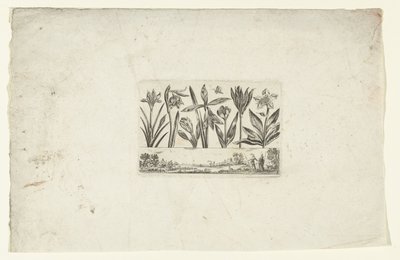 Manzara üzerinde çiçek satırı Çiçekler ve manzaralar (dizi başlığı) by Cornelis Danckerts (I)