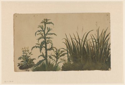 Devedikeni ve kamış by Cornelis Johannes de Vogel
