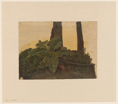 Bir ağaç gövdesinin dibinde bitkiler by Cornelis Johannes de Vogel