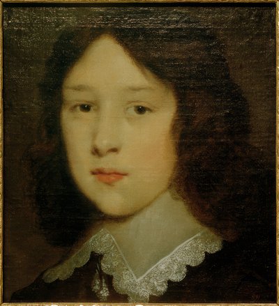 genç bir adam portresi by Cornelis Johnson van Keulen