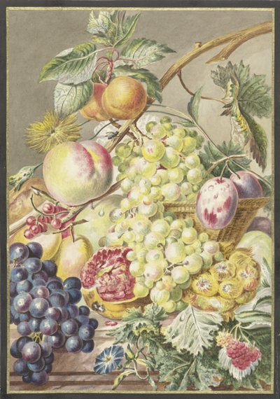 meyve parçası by Cornelis Ploos van Amstel