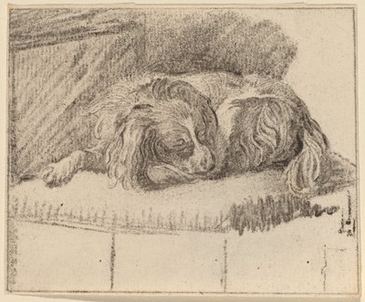 yalancı köpek by Cornelis Ploos van Amstel