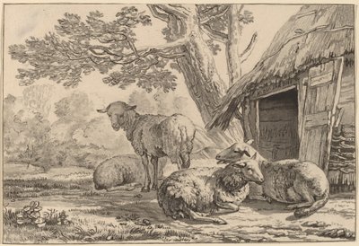 koyun kulübesi by Cornelis Ploos van Amstel