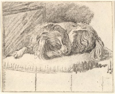 Uyuyan Köpek, 1777. by Cornelis Ploos van Amstel