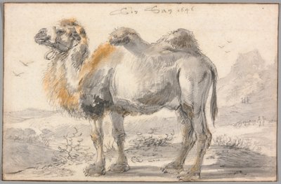 Bir deve by Cornelis Saftleven