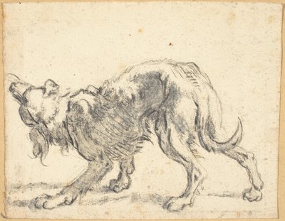 Bir köpek by Cornelis Saftleven