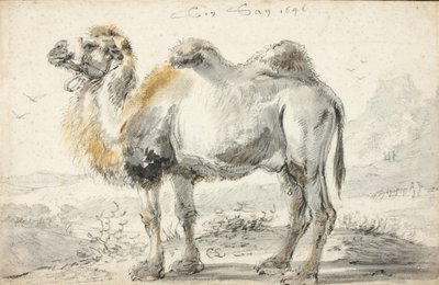 Bir deve by Cornelis Saftleven