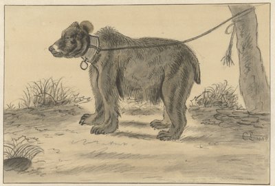 Bir ağaca bağlı ayı by Cornelis Saftleven