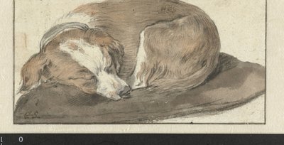 Uyuyan köpek by Cornelis Saftleven