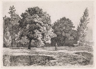 Ağaçlar, göl ve bir kadınla manzara Beşinci süit (dizi başlığı) by Cornelis Steffelaar