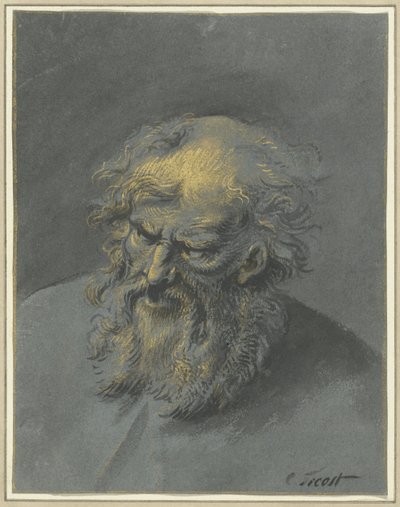 Yaşlı sakallı bir adamın başı (bir havari veya filozof) by Cornelis Troost