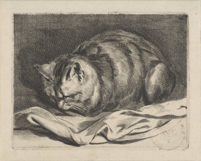 küçük kedi by Cornelis Visscher (II)