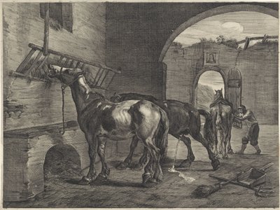 Kararlı by Cornelis Visscher (II)