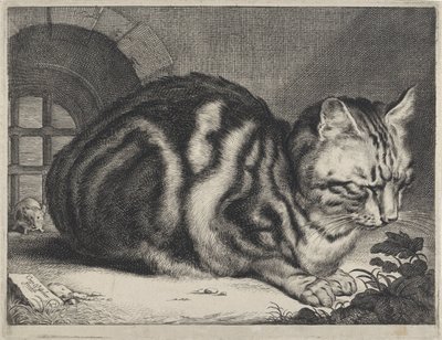 Büyük Kedi by Cornelis Visscher (II)