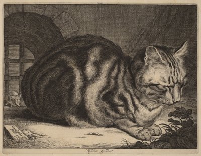 Büyük Kedi by Cornelis Visscher