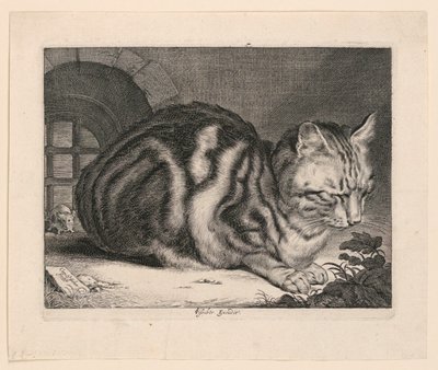 Büyük Kedi by Cornelis Visscher