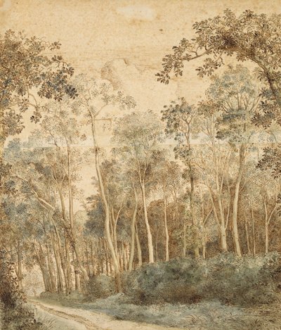 Wooded Peyzaj (kağıt üzerine kalem ve kahverengi mürekkep ve wc) by Hendrick Cornelisz. Vroom