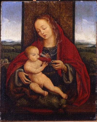 Madonna ve Çocuk tahta çıktı by Cornelis van Cleve