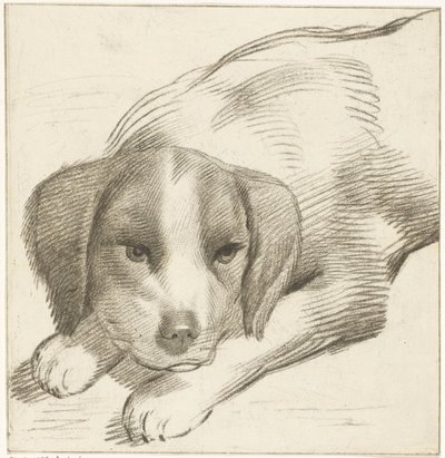 yalancı köpek by Cornelis van Noorde