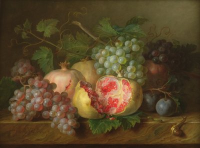 Bir mermer çıkıntı (panel) üzerinde nar, üzüm ve erik natürmort by Cornelis van Spaendonck