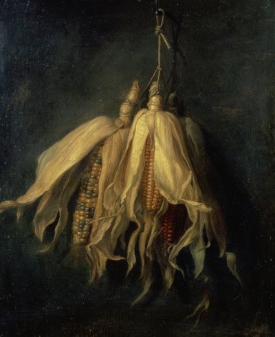 Bir Çividen Sarkan Üç Mısır Koçanı (tuval üzerine yağlı boya) by Cornelis van Spaendonck