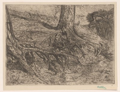 ağaç kökleri by Cornelis van Steenwijk