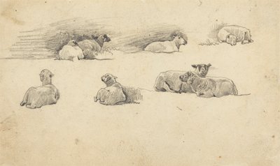 Koyun Çalışması by Cornelius Varley