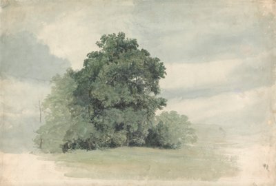 Bir Tarlanın Kenarındaki Ağaçların İncelenmesi by Cornelius Varley