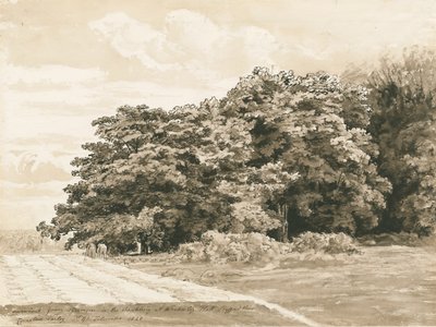 Wrottesley Hall - Çalılık: sepya çizimi, 1820 by Cornelius Varley