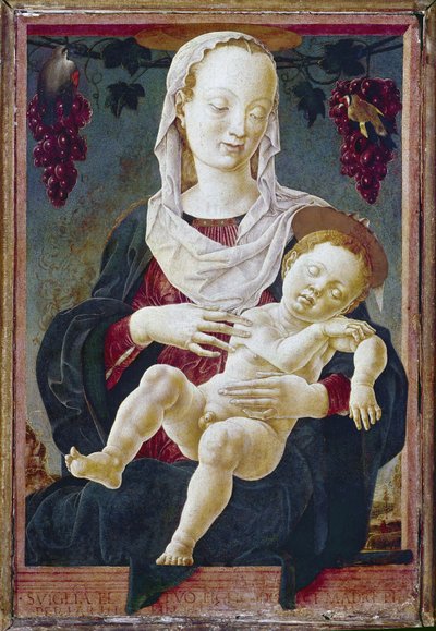 Meryem Ana olarak bilinen Madonna ve Çocuk. c.1459-63 (gemide sıcaklık) by Cosimo Tura