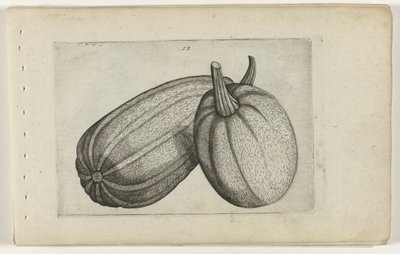 twee meloenen Zambakları bilin (dizi adı) by Crispijn van de Passe (I) (attributed to)