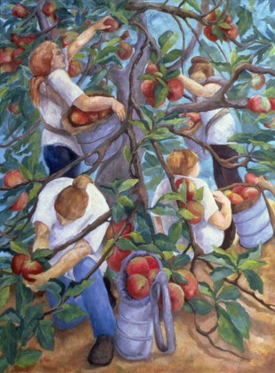 Elma Seçiciler, 1996 by Cristiana Angelini