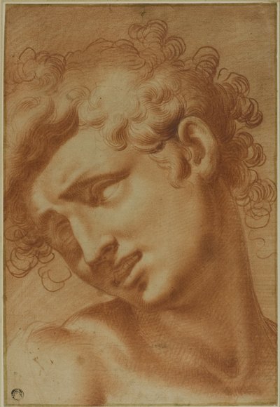 Bir Gençlik Başkanı by Cristoforo Roncalli