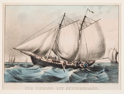 Morina Balıkçılığı - Newfoundland Açıklarında by Currier and Ives