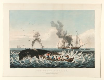 Balina Balıkçılığı:/ Sperm Balinasına Saldırmak by Currier and Ives