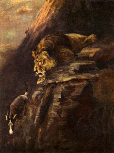 Yaşam İçin Bir Sıçrama (renkli taş) by Cuthbert Edmund Swan