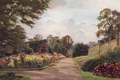 Erken Krizantemler, Claremont (renkli taş) by Cyril Ward