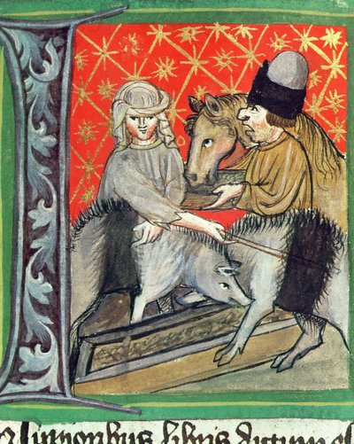 Damızlık domuzlar ve atlar, Pietro de Crescenzi tarafından Opus Rural Commodorum