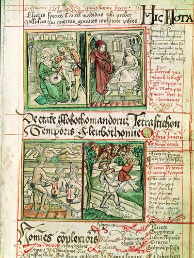 Tractatus de Pestilencia
