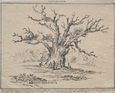 Fairlop Meşe by D. H. Redman