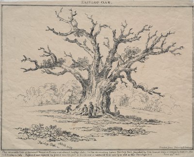 Fairlop Meşe, 1811. by D. H. Redman