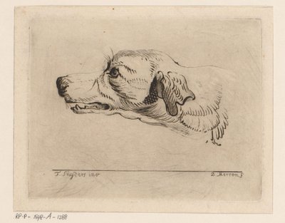bir köpeğin başı by D. Merrem