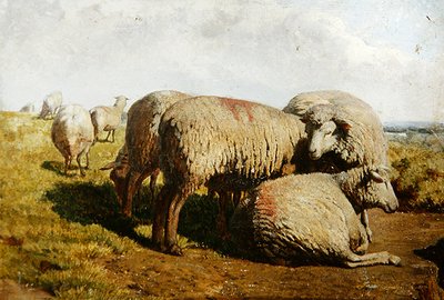 Bir Grup Koyun by Daniel Alexander Williamson