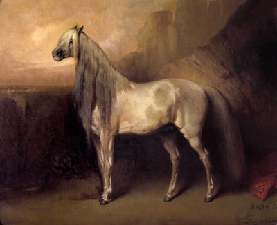 Baba Ali, Arap Atı General Henri d