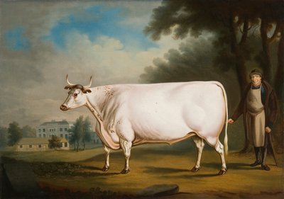 Nannau