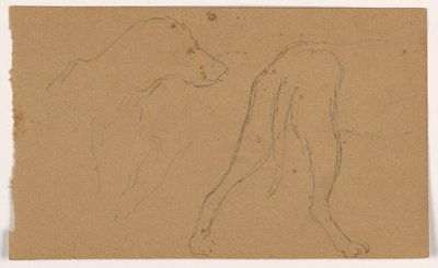 Çizim, Milo (bir Pointer), Baş ve Gövde, yaklaşık 1862 by Daniel Huntington