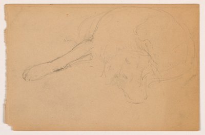 Çizim, Miol (bir Pointer), yaklaşık 1862 by Daniel Huntington
