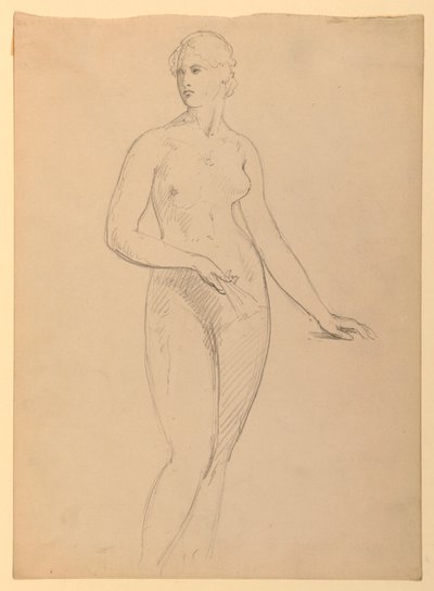 Çizim, Bayan Henry Schieffelin, S, 1881 by Daniel Huntington